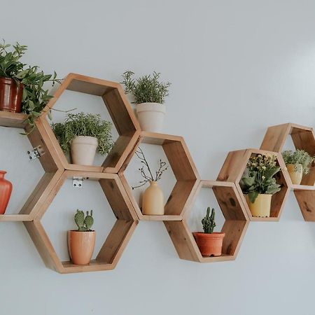 Le Cactus Hotel ハロン エクステリア 写真